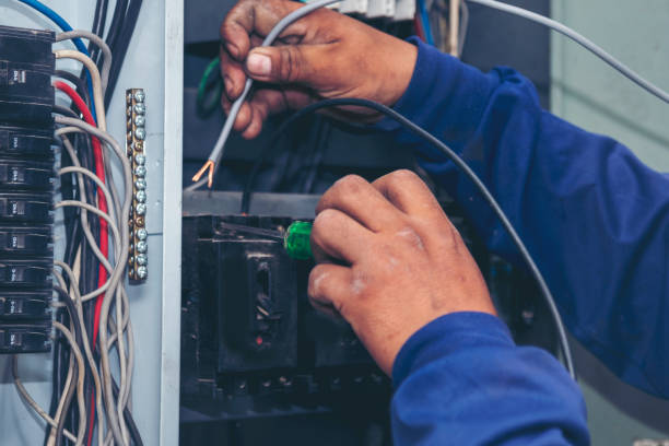 Best Electrical System Inspection  in Guntersville, AL